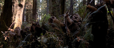 ewok